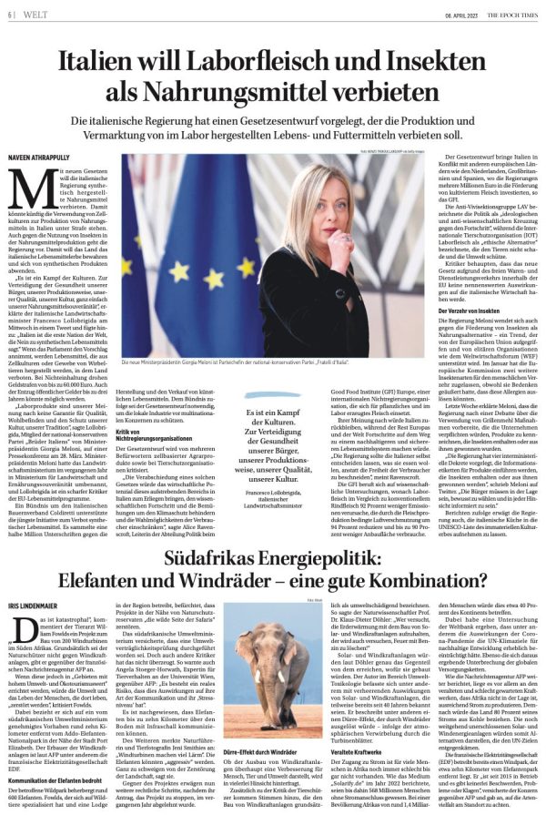 Epoch Times Wochenzeitung – 91. Ausgabe Verkauf – Bild 4